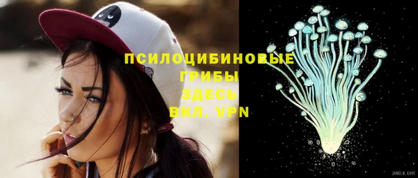 амф Абаза