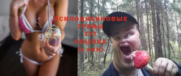 бошки Алексин