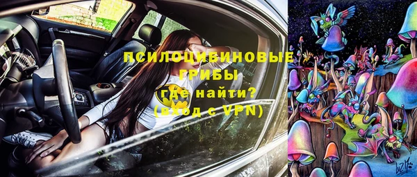 амф Абаза