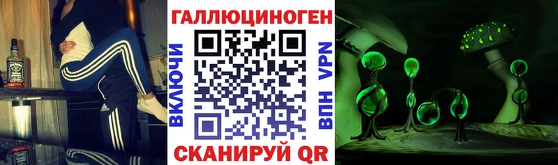 Псилоцибиновые грибы мицелий блэк спрут ССЫЛКА Полтавская